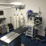 P30E Surgery Light installed in veterinary hospital