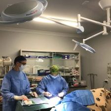 P28 Procedure light i use in veterinary hospital