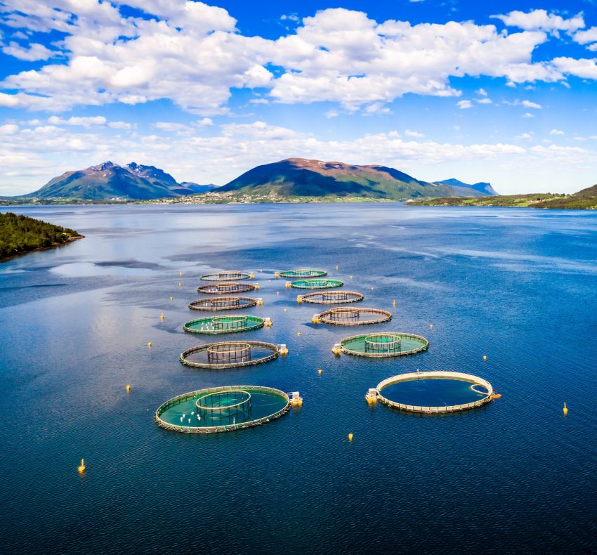 Farm salmon fishing in Norway Aerial FPV drone photography.